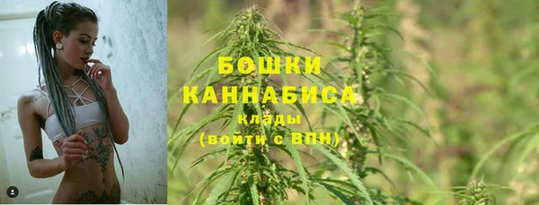 стаф Зеленодольск