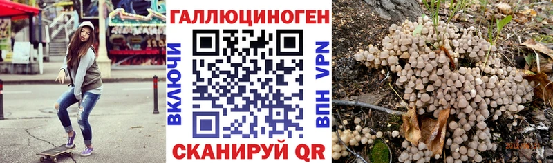 где можно купить   Горнозаводск  дарк нет состав  Псилоцибиновые грибы GOLDEN TEACHER 